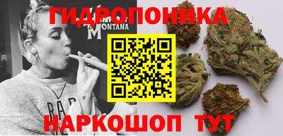 Альфа ПВП Гагарин
