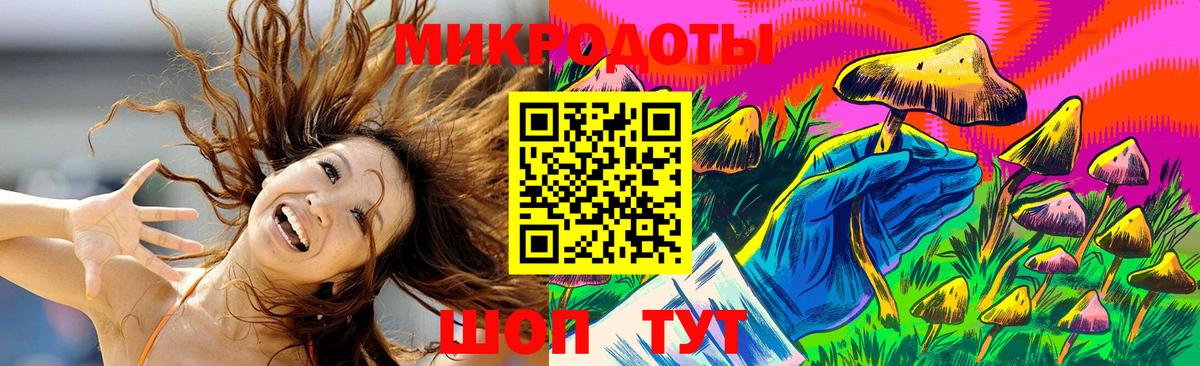 Псилоцибиновые грибы Cubensis Нижневартовск