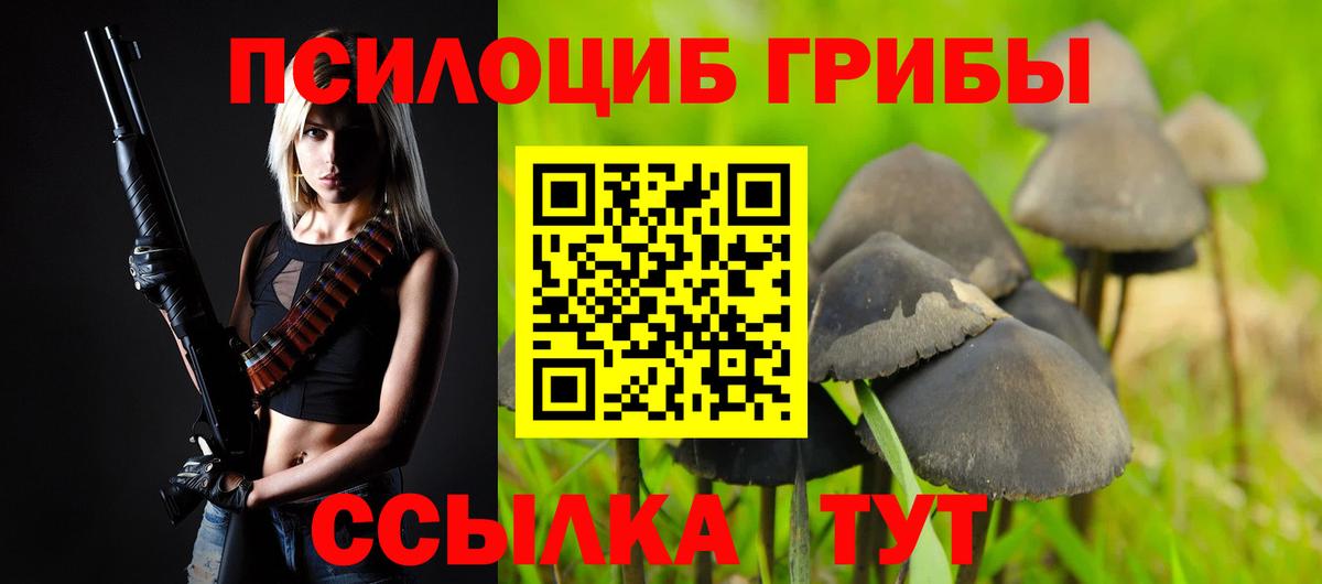 Нижневартовск  цена наркотик  Вход с VPN  Псилоцибиновые грибы Cubensis 